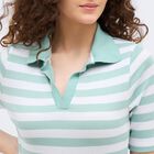 Women's Light Sage Green Round Neck Casual Crop Top, Light Green, small