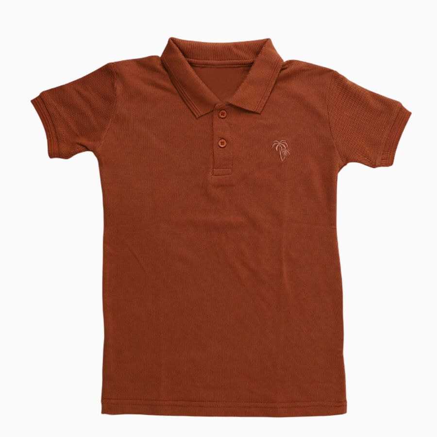 Boys' Half Sleeves T-Shirt, Brown, large