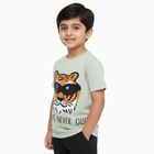 Boys Light Sage Green Cotton Crew Neck Casual T-Shirt, हल्का हरा, small image number null