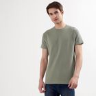Men's Half Sleeves T-Shirt, Light Green, small