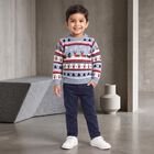 Boys Light Blue Crew Neck Printed Pullover, हल्का नीला, small