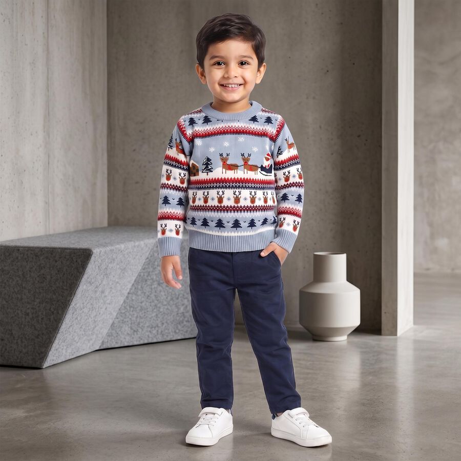 Boys Light Blue Crew Neck Printed Pullover, हल्का नीला, large