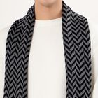 Men's Muffler, काला, small image number null