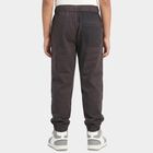Boys' Dark Grey Regular Fit Cargo Jogger Trousers, गहरा ग्रे, small