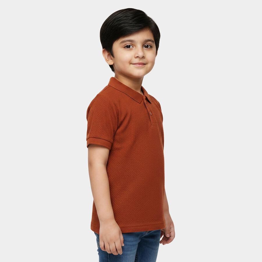 Boys Brown Polo Neck Polo T-Shirt, भूरा, large