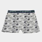 Boys' Light Heather Grey Regular Fit Printed Briefs, मिश्रित मध्यम ग्रे, small image number null