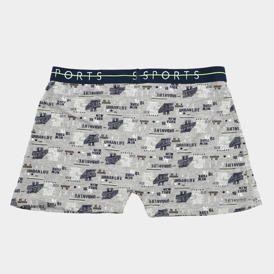 Boys' Light Heather Grey Regular Fit Printed Briefs, मिश्रित मध्यम ग्रे, large image number null