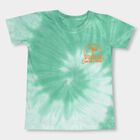 Boys' 100% Cotton Half Sleeves T-Shirt, हल्का हरा, small image number null