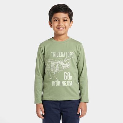 Boys Green Cotton Blend Round Neck Regular Boys T-Shirt