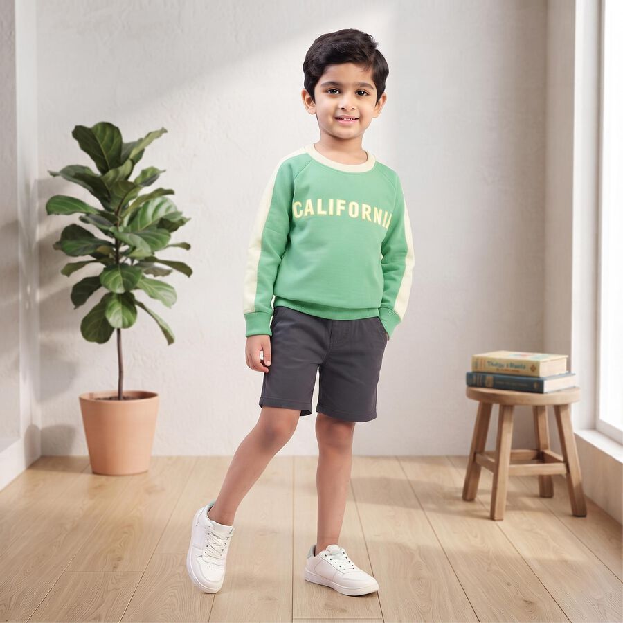 Boys' Dark Green Crew Neck Pullover Sweatshirt, Dark Green, large