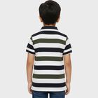 Boys Olive and Navy Polo Neck Casual T-Shirt, ओलिव, small