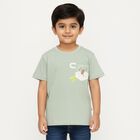 Boys Light Sage Green Cotton Crew Neck Casual T-Shirt, Light Green, small image number null
