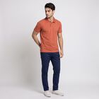 Men's Orange Polo Neck Solid Polo T-Shirt, रस्ट, small