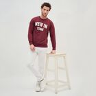 Men's Rich Maroon Crew Neck Casual Sweatshirt, मरून, small image number null
