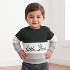 Infants Green 100% Cotton Crew Neck Pullover Sweatshirt, Dark Green, small