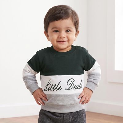Infants Green 100% Cotton Crew Neck Pullover Sweatshirt
