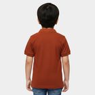 Boys Brown Polo Neck Polo T-Shirt, भूरा, small