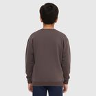 Boys Dark Chocolate Brown Crew Neck Graphic Sweatshirt, Charcoal, small image number null