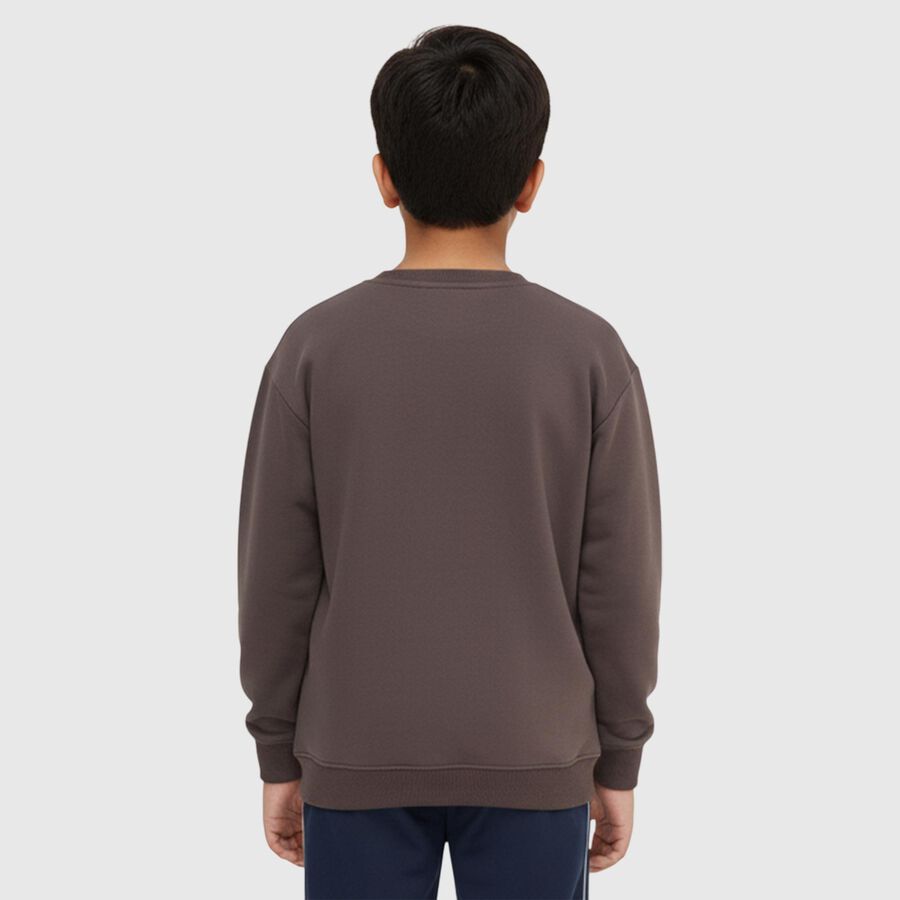 Boys Dark Chocolate Brown Crew Neck Graphic Sweatshirt, Charcoal, large image number null