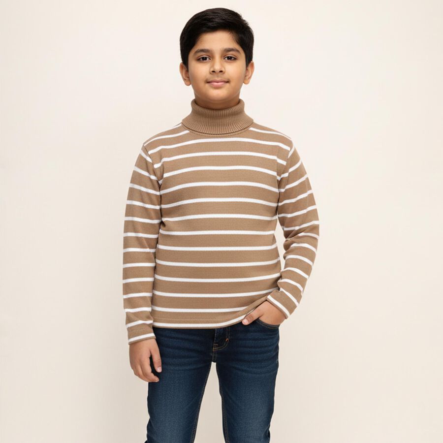 Boys Muted Beige Turtleneck Casual Pullover, Beige, large image number null