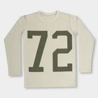 Boys' Light Sage Green Crew Neck Casual Full Sleeve T-Shirt, Light Green, small image number null
