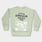 Boys Light Sage Green Crew Neck Casual Sweatshirt, हल्का हरा, small image number null