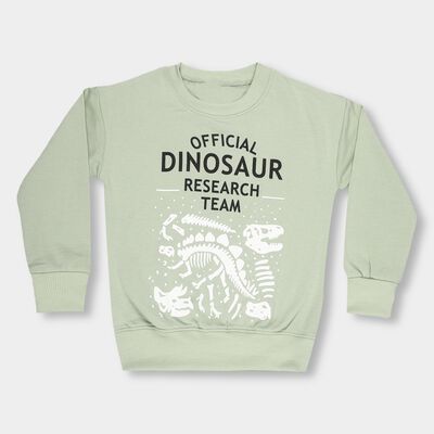Boys Light Sage Green Crew Neck Casual Sweatshirt