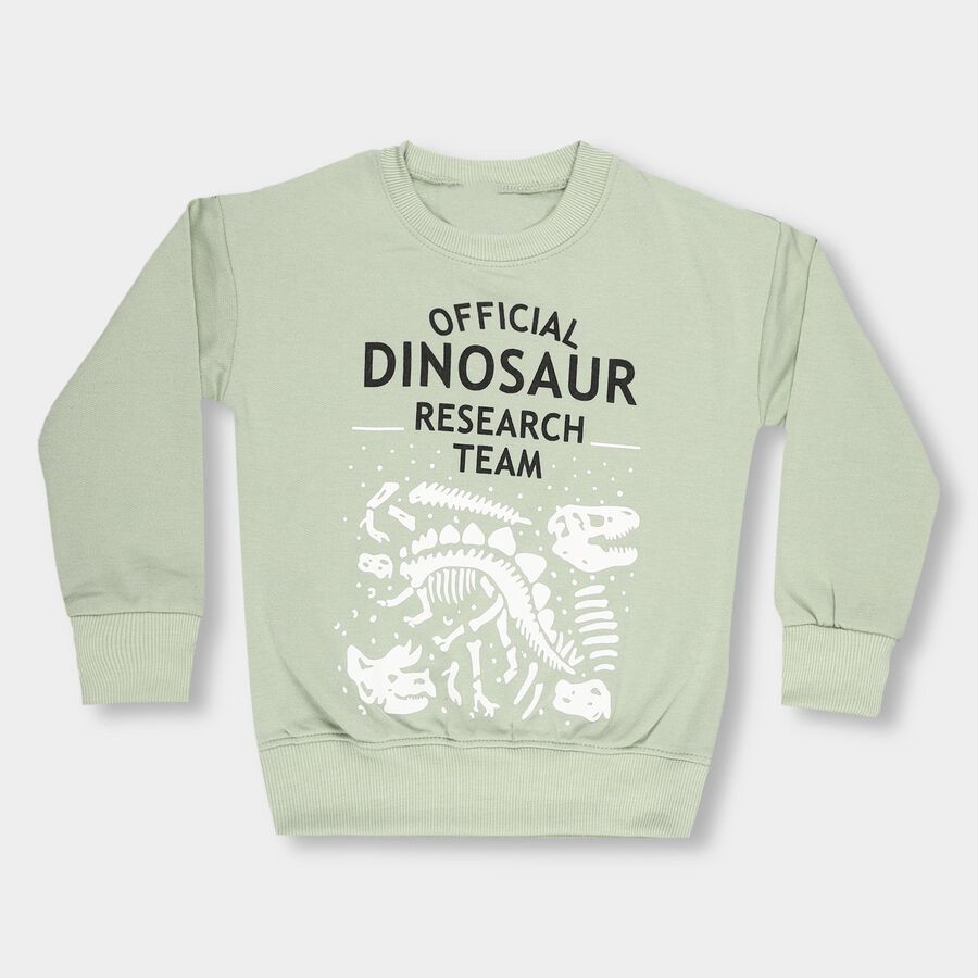 Boys Light Sage Green Crew Neck Casual Sweatshirt, हल्का हरा, large image number null