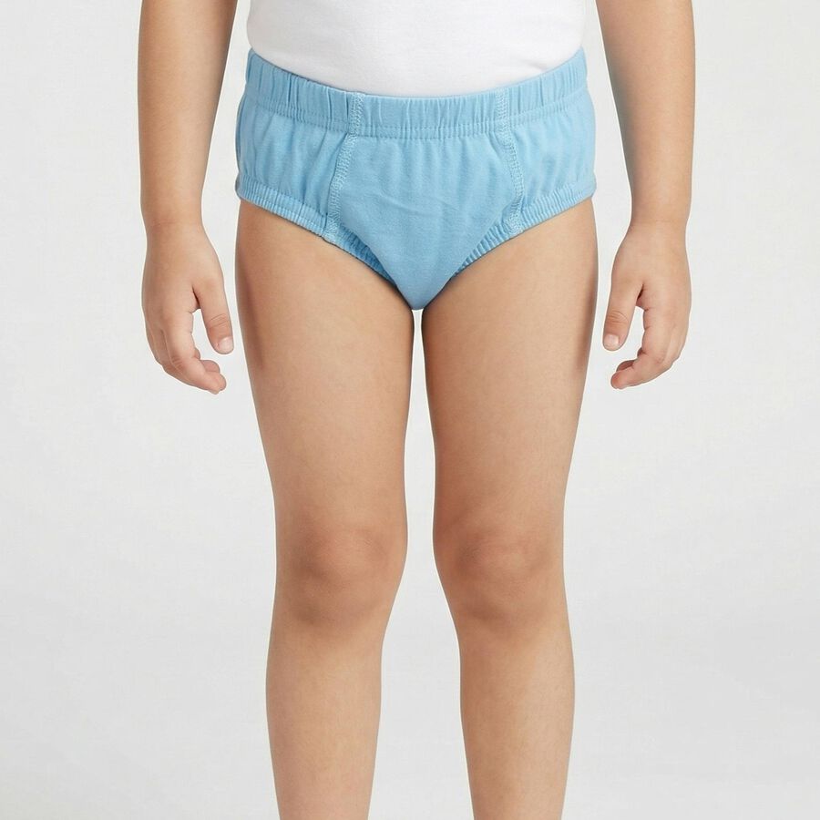 Boys Light Blue Regular Fit Solid Briefs, Light Blue, large