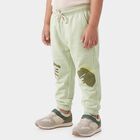 Boys' Mint Green Jogger Fit Dinosaur Pyjama, हल्का हरा, small
