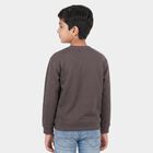 Boys' Charcoal Crew Neck Pullover Sweatshirt, चारकोल, small