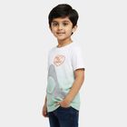 Boys' White and Mint Green Cotton Round Neck Casual T-Shirt, हल्का हरा, small