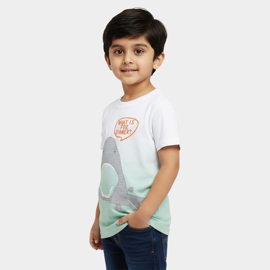 Boys' White and Mint Green Cotton Round Neck Casual T-Shirt, हल्का हरा, large