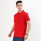 Men's Collared Half Sleeves T-Shirt, लाल, small