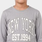 Boys Grey Crew Neck Regular Boys T-Shirt, हल्का ग्रे, small