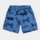 Boys' Blue Regular Fit Animal Printed Bermuda Shorts, Mid Blue, small