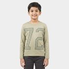 Boys Green Round Neck Regular Boys T-Shirt, Light Green, small