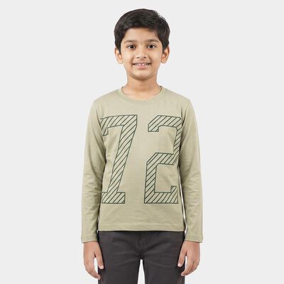 Boys Green Round Neck Regular Boys T-Shirt