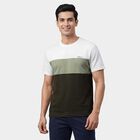 Men's Green Round Neck Classic T-Shirt, Light Green, small