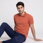 Men's Orange Polo Neck Solid Polo T-Shirt, रस्ट, small