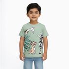 Boys Light Sage Green Cotton Round Neck Casual T-Shirt, Light Green, small image number null