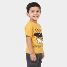Boys Yellow Cotton Round Neck Regular Boys T-Shirt, Yellow, small