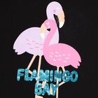 Girls' 100% Cotton T-Shirt , Black, small image number null