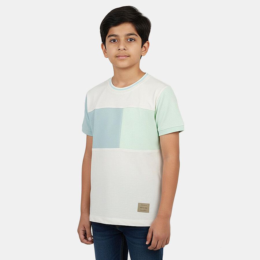 Boys' Light Green Round Neck Casual T-Shirt, Light Green, large