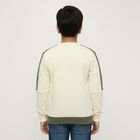 Boys Olive Green and Cream Crew Neck Casual Sweatshirt, ओलिव, small image number null