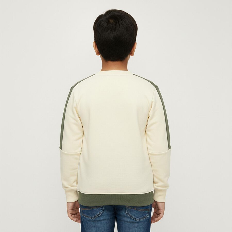 Boys Olive Green and Cream Crew Neck Casual Sweatshirt, ओलिव, large image number null