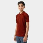 Boys Brown Polo Neck Polo T-Shirt, भूरा, small