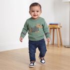Infants Green Crew Neck Pullover, हल्का हरा, small
