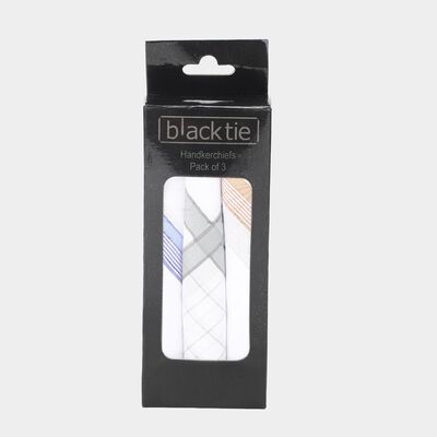 Men White Checked Pack of 3 Handkerchief