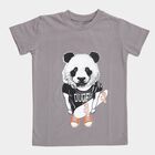 Boys Light Grey Crew Neck Casual T-Shirt, Light Grey, small image number null